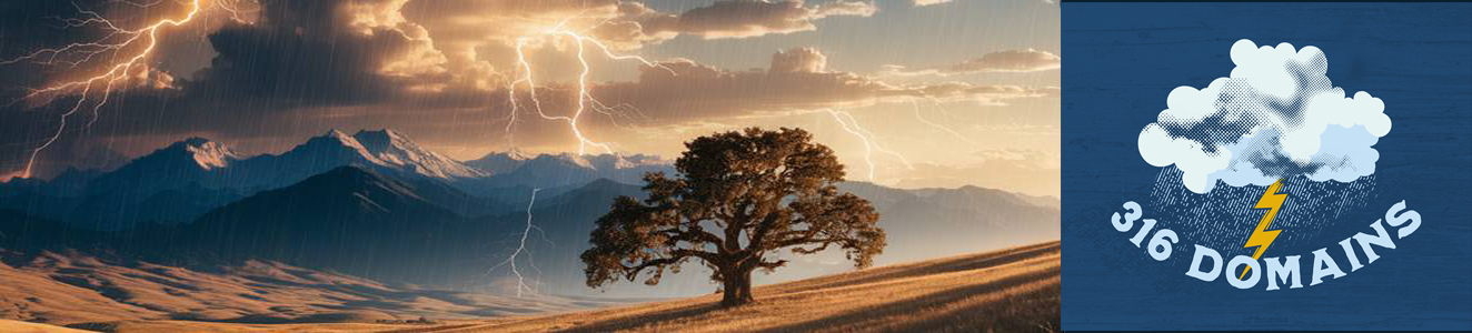 316 Domains banner